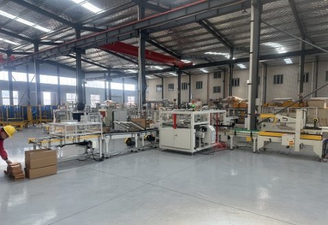  翻轉(zhuǎn)側(cè)推裝箱線